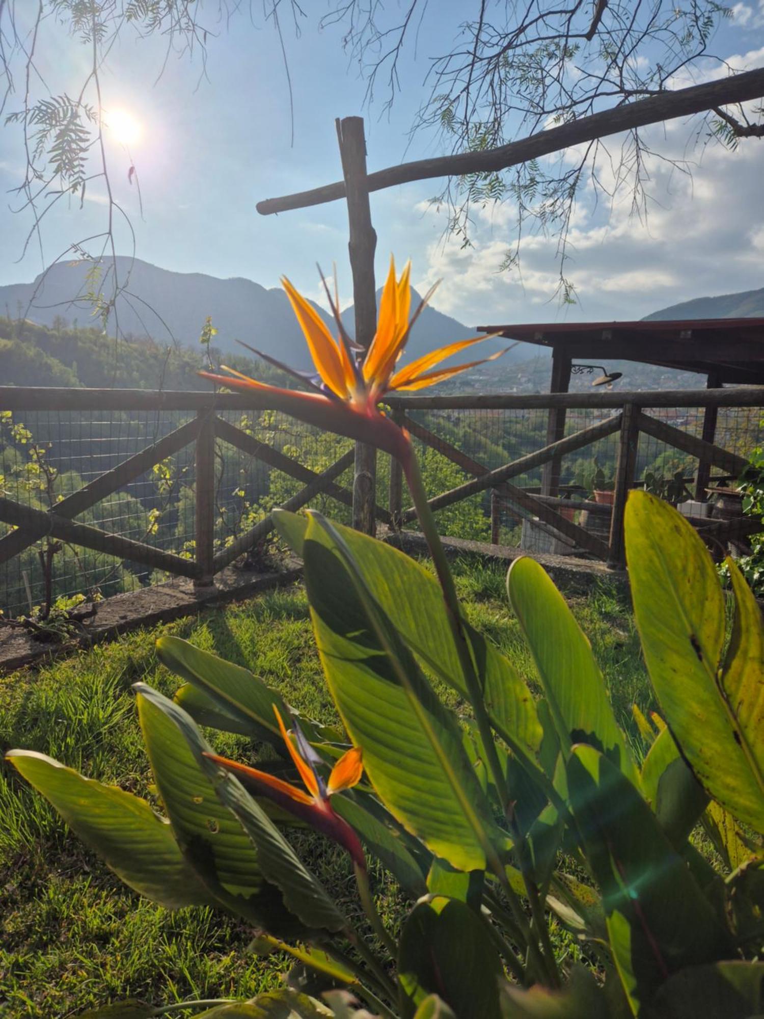 La Cicogna Bed & Breakfast Agerola Bagian luar foto