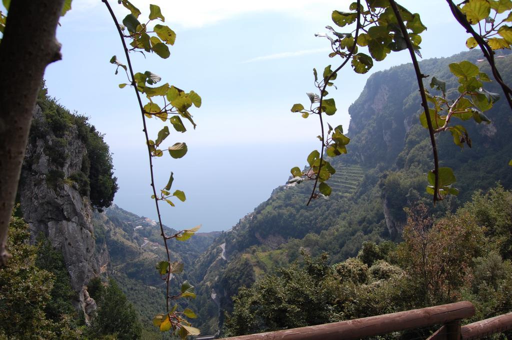 La Cicogna Bed & Breakfast Agerola Bagian luar foto